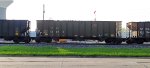 HLMX 43534